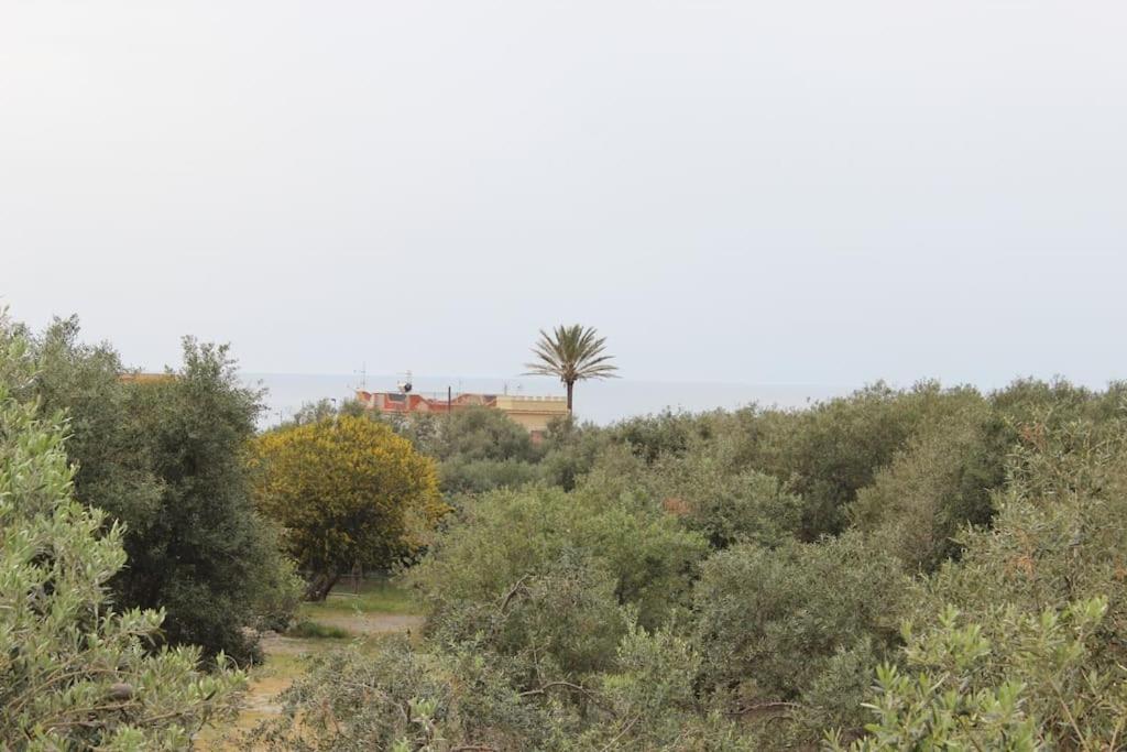 Villa Al Sorriso Corallo Isola delle Femmine Exterior photo